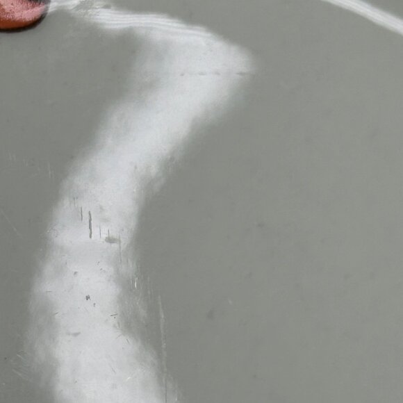 Villeroy & Boch Amapola Floral Dinner Plates Set Of 2‎ Germany - Picture 3 of 9